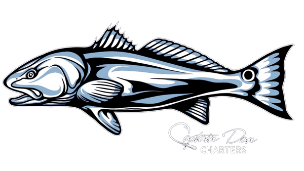 Low Country Fishing LLC