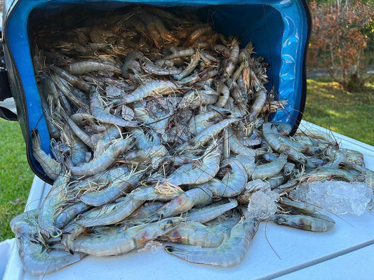 Shrimpers Special